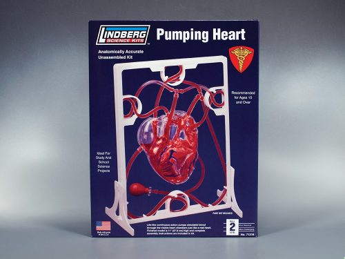 lindberg 71316 PUMPING HEART